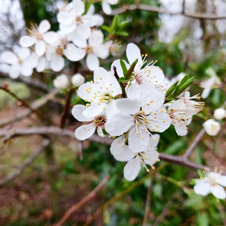 2nd March 2019