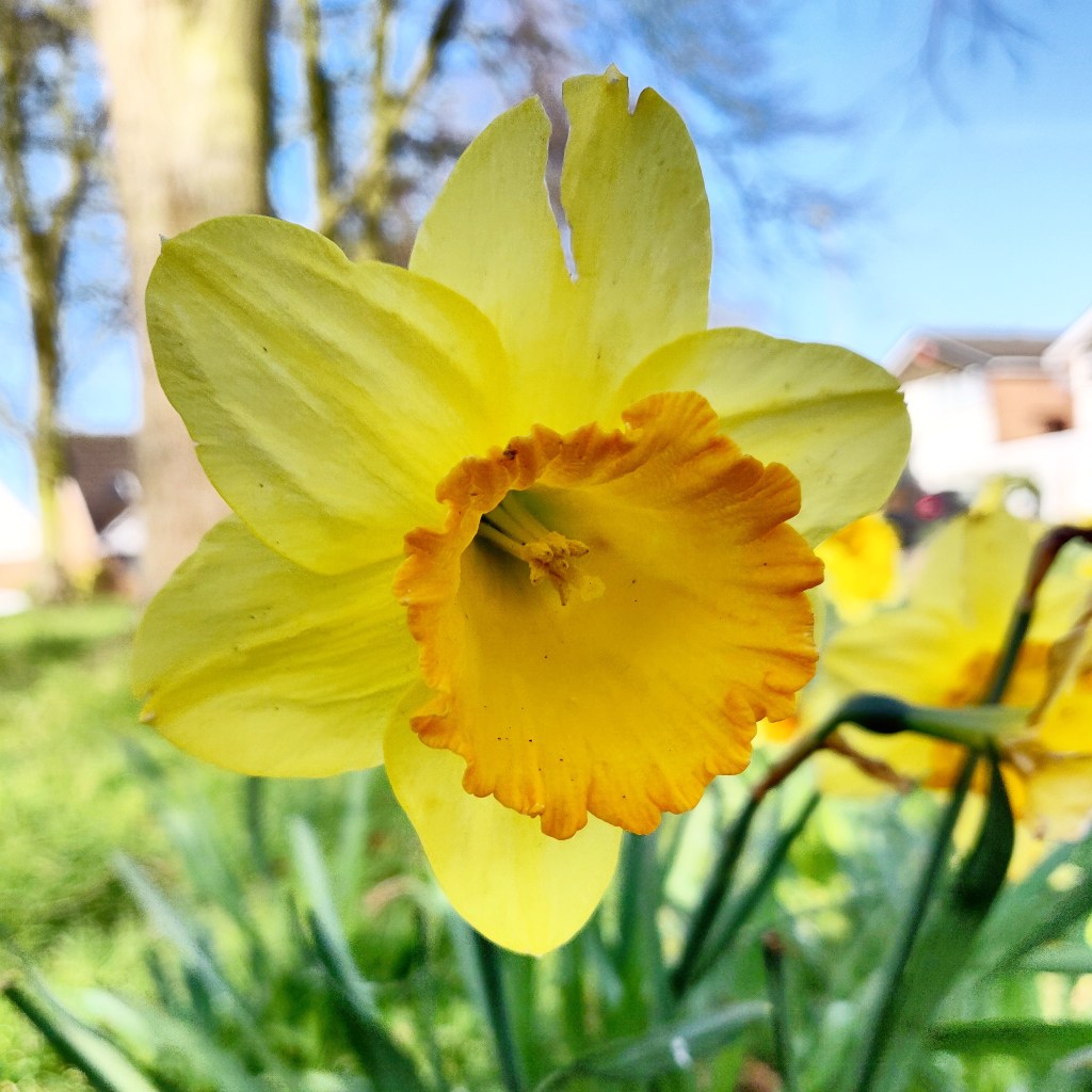 20th March 2019