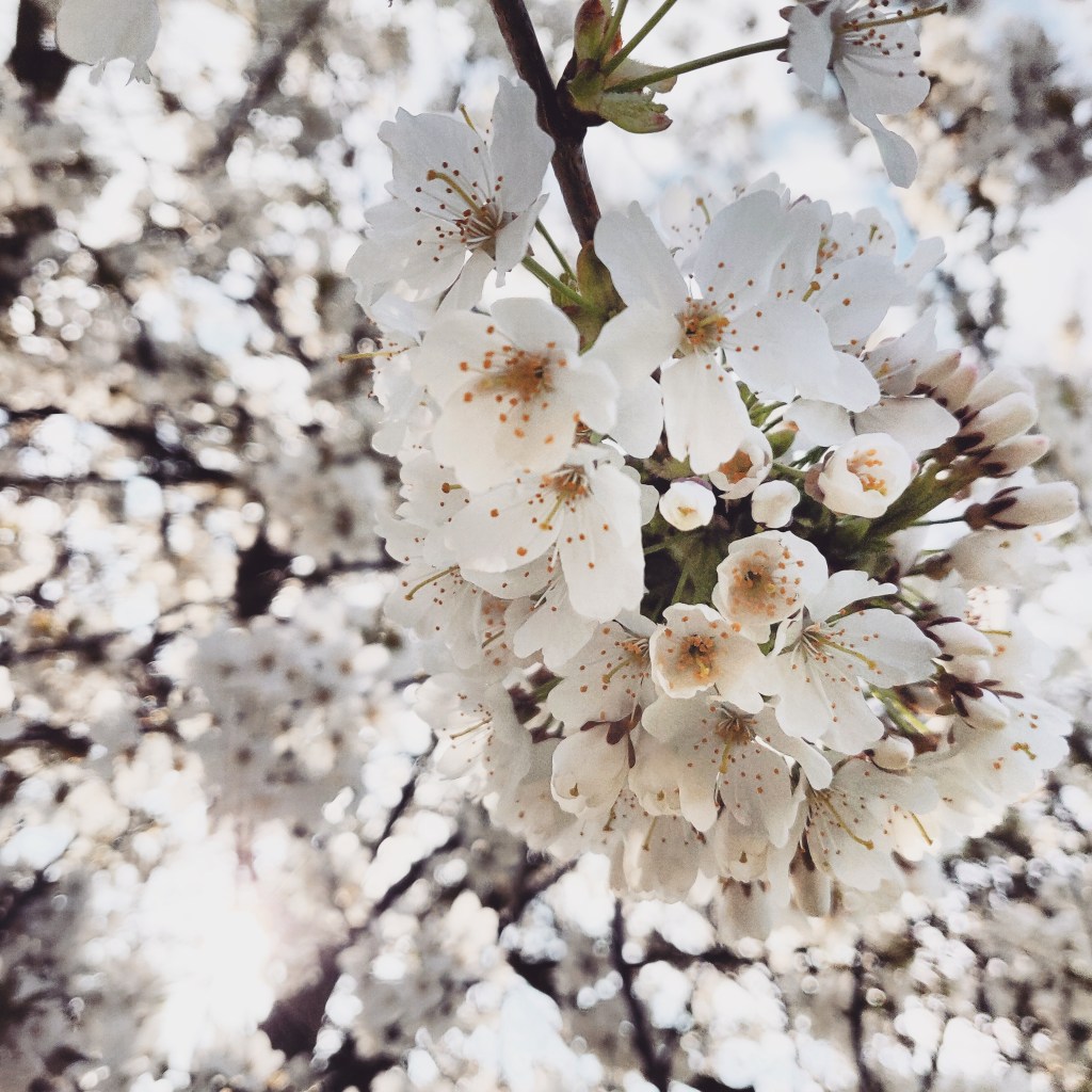 26th March 2019