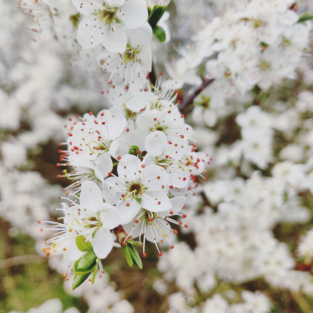 5th April 2019