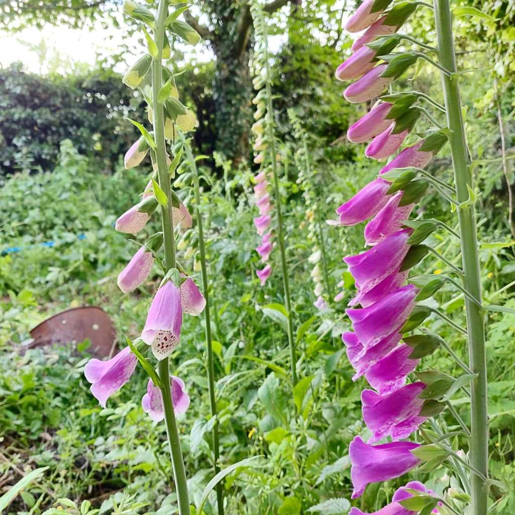 3rd June 2019