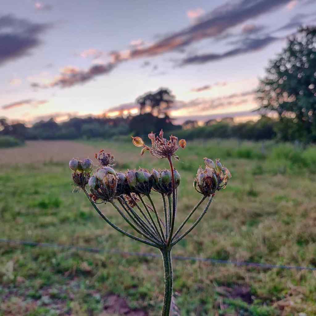 10th July 2019