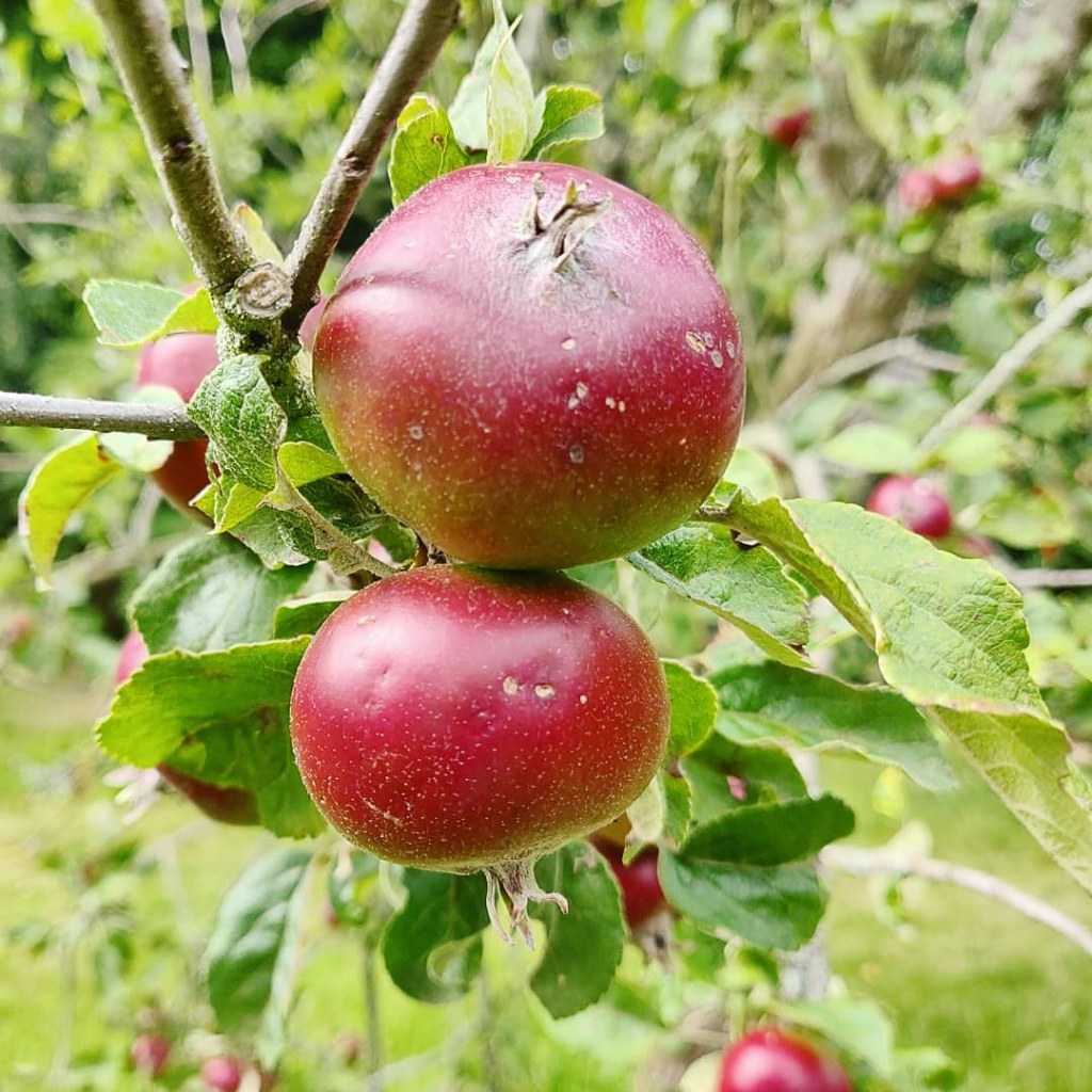 18th July 2019