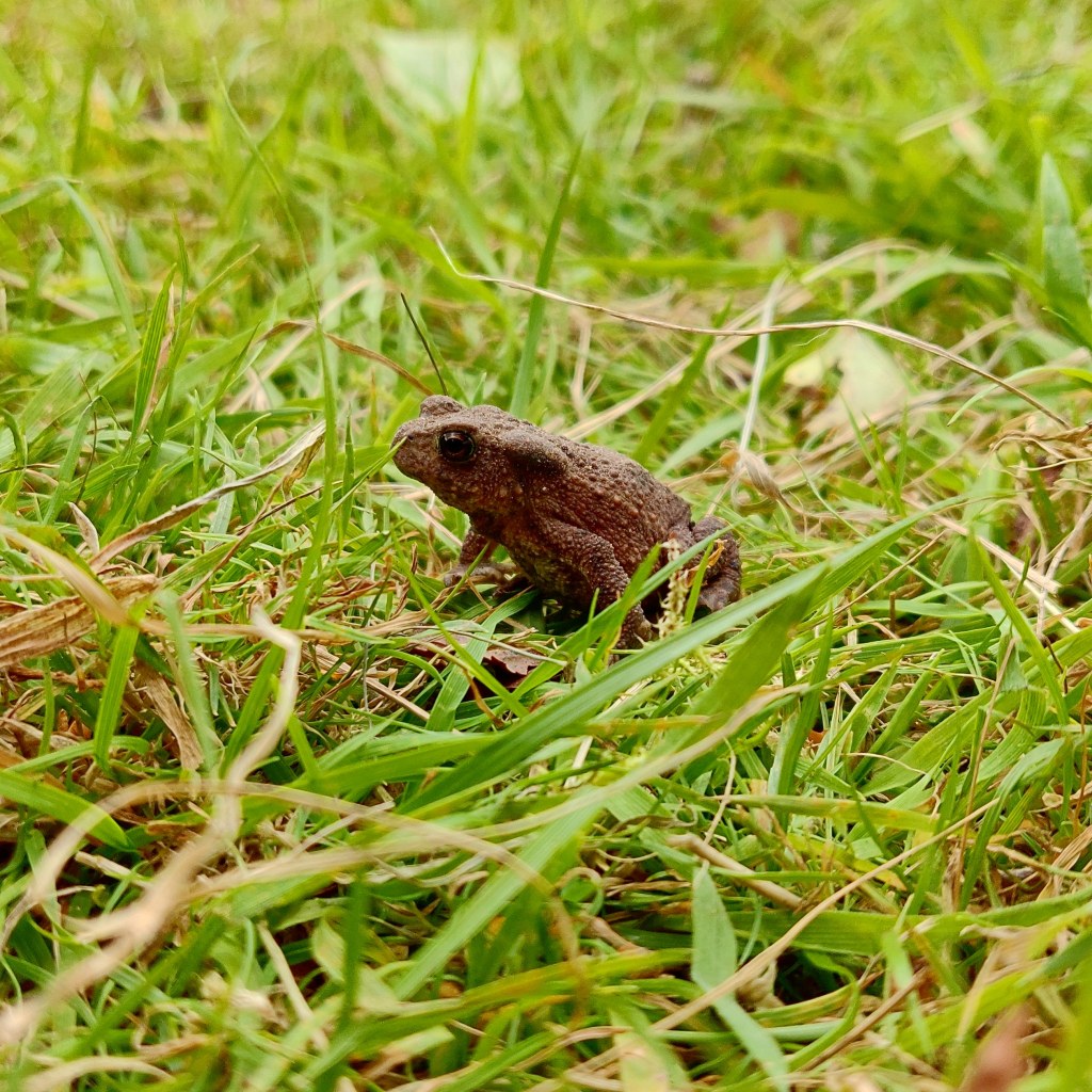 3rd September 2019