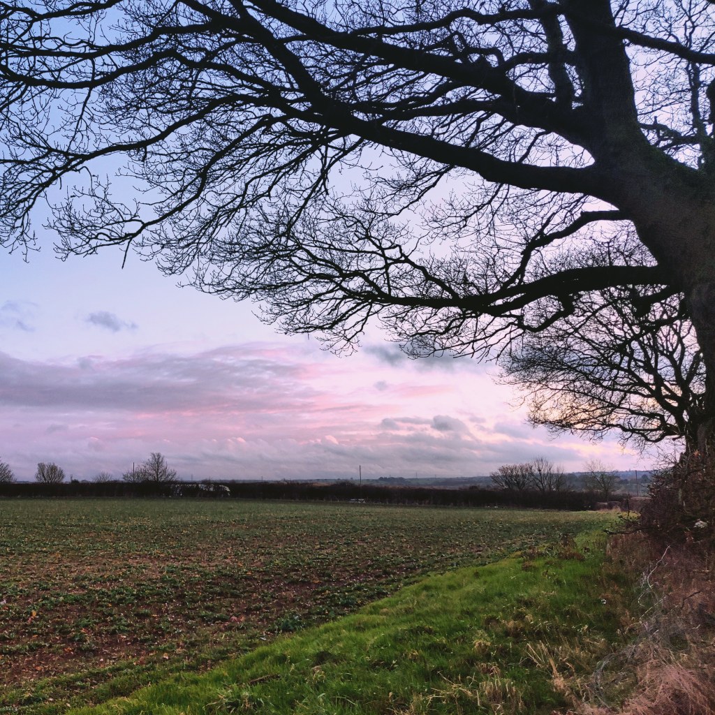 6th January 2020
