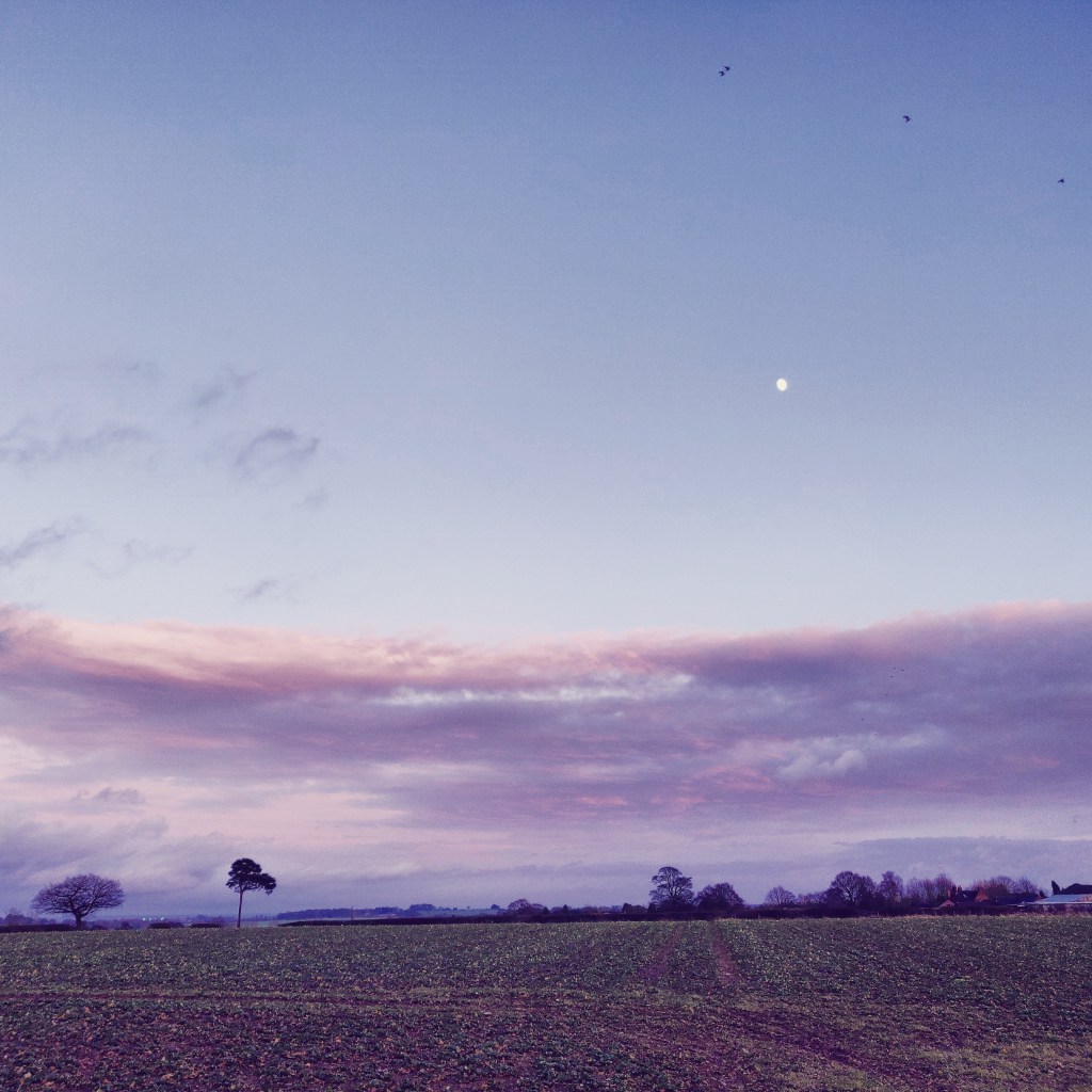 11th January 2020