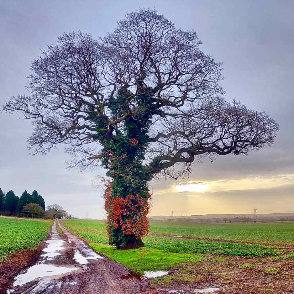 14th January 2020