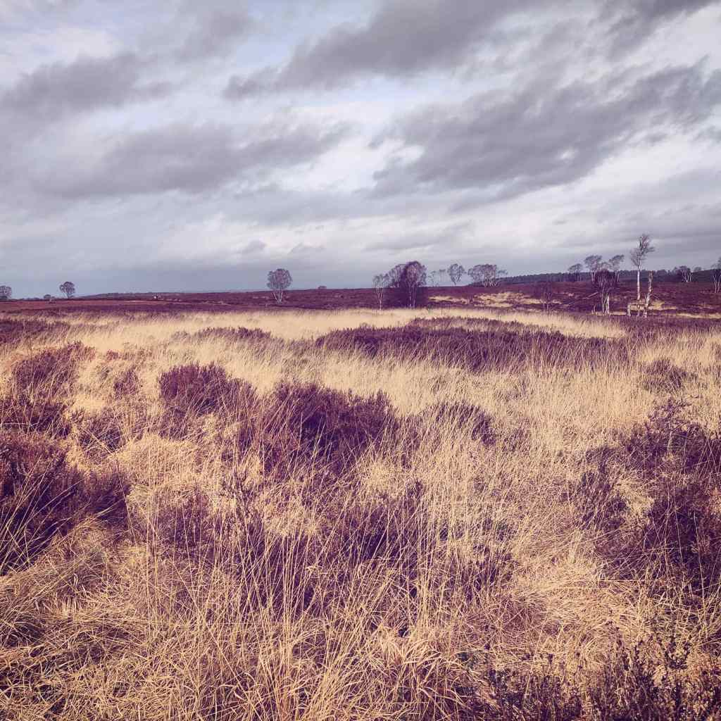 7th March 2020
