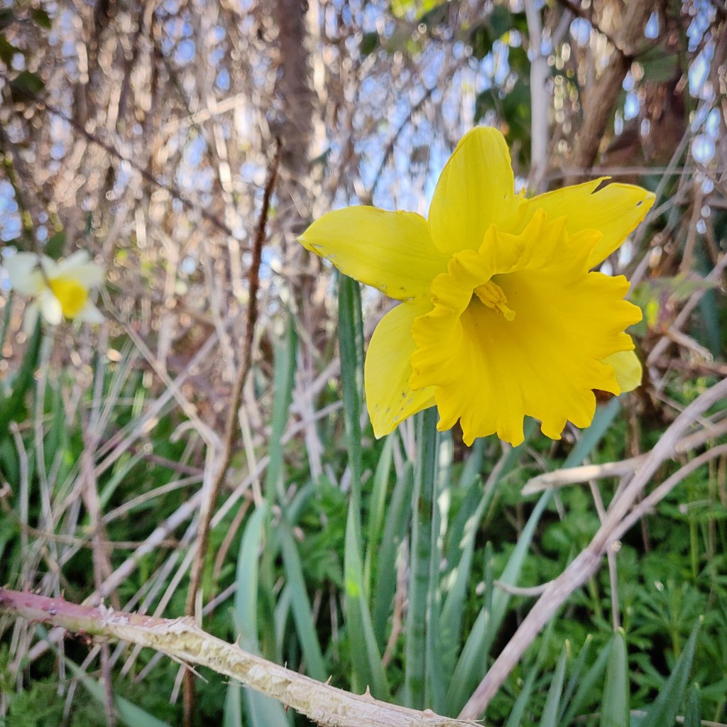 9th March 2020