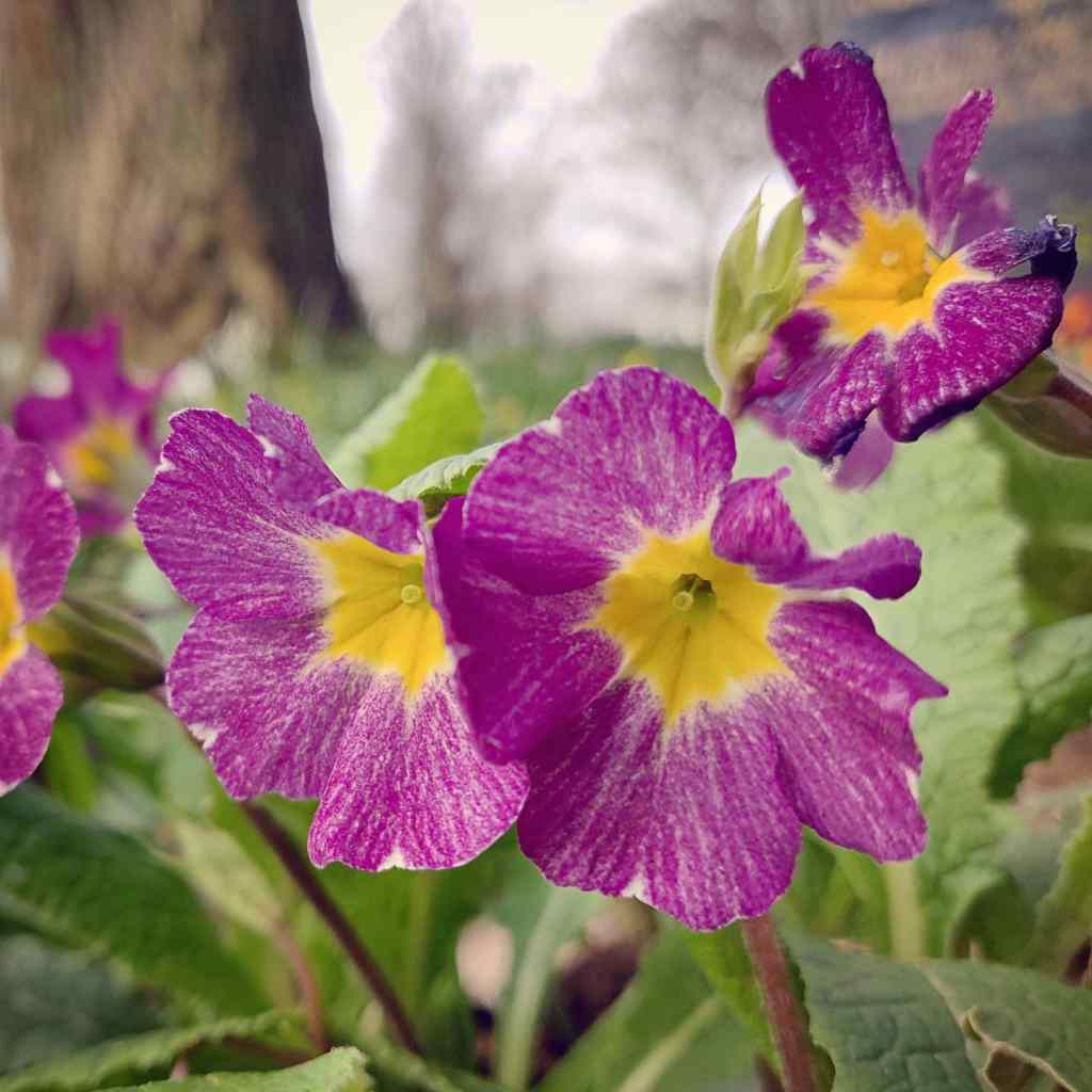 14th March 2020