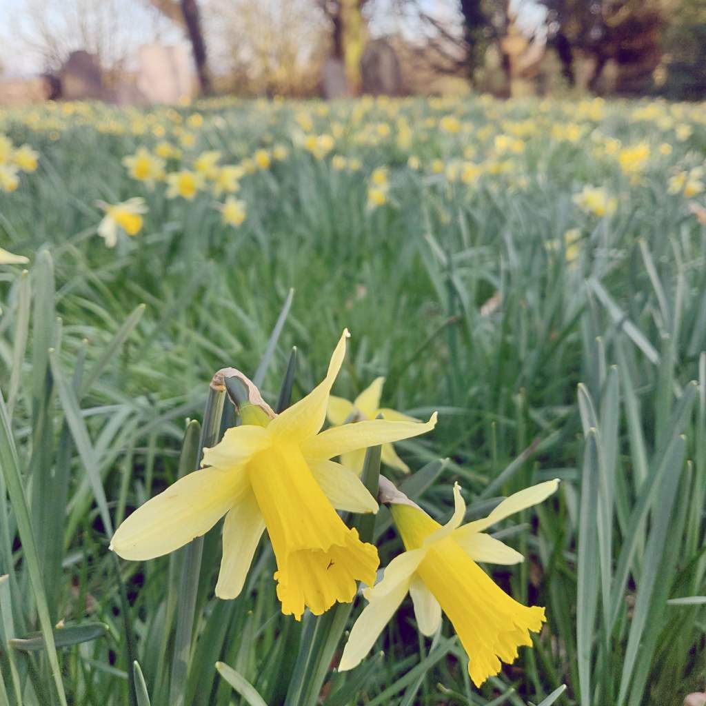22nd March 2020