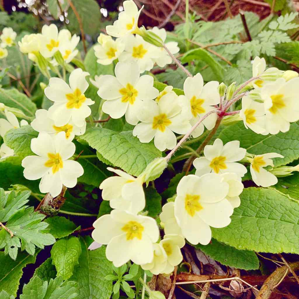 27th March 2020
