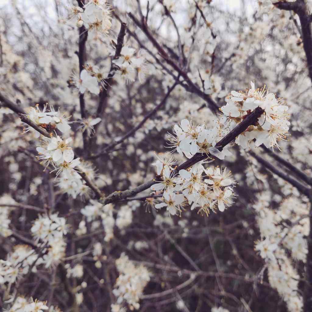 28th March 2020