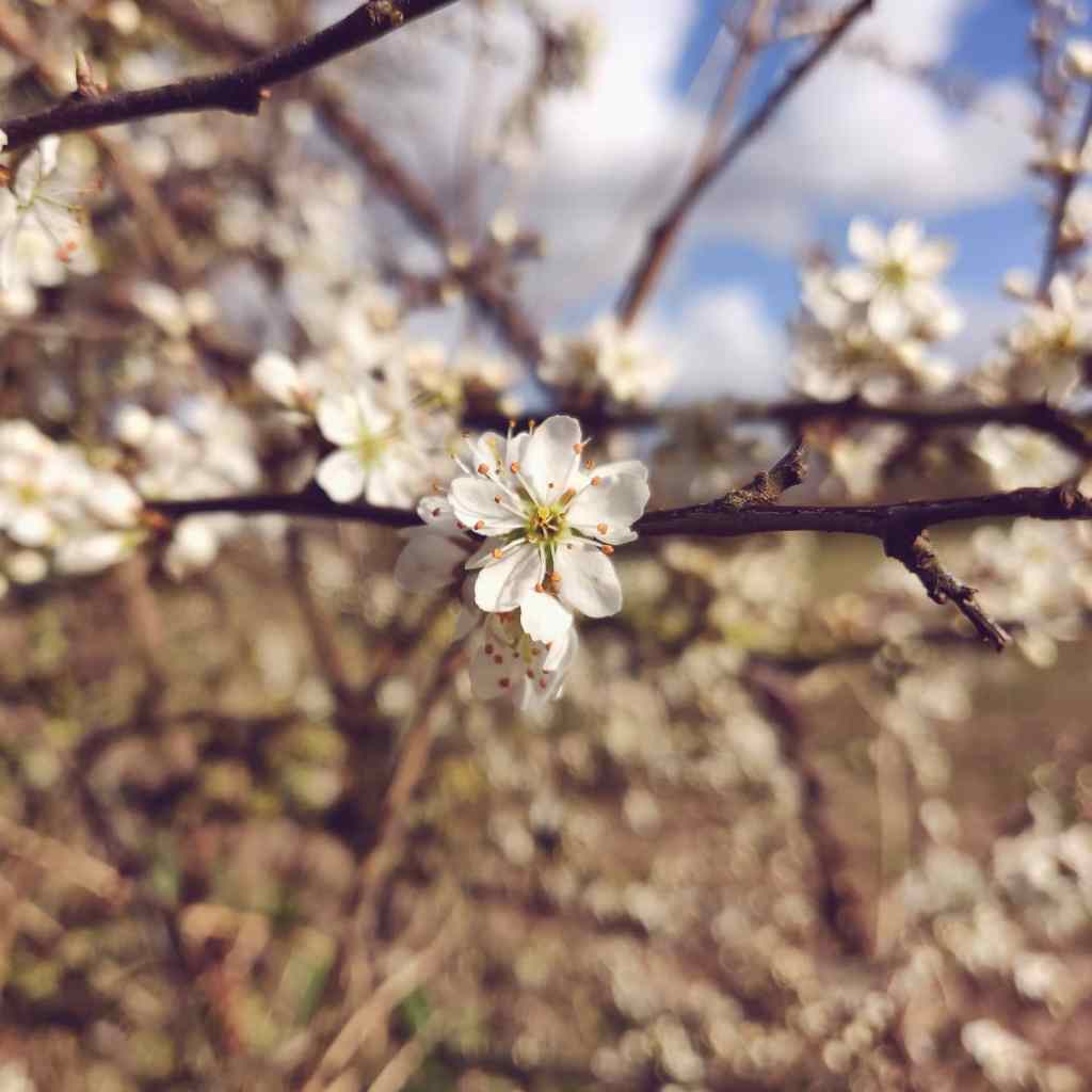 6th April 2020
