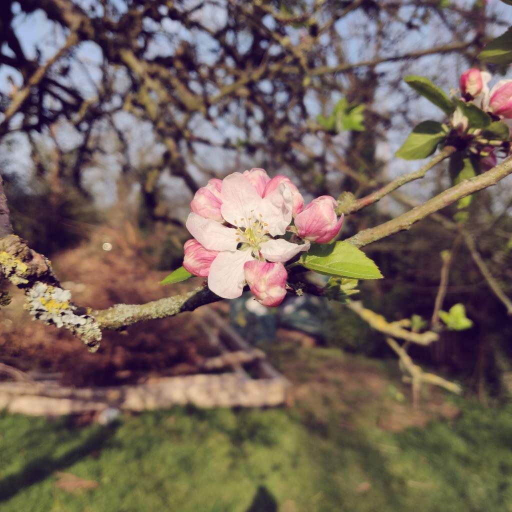 10th April 2020