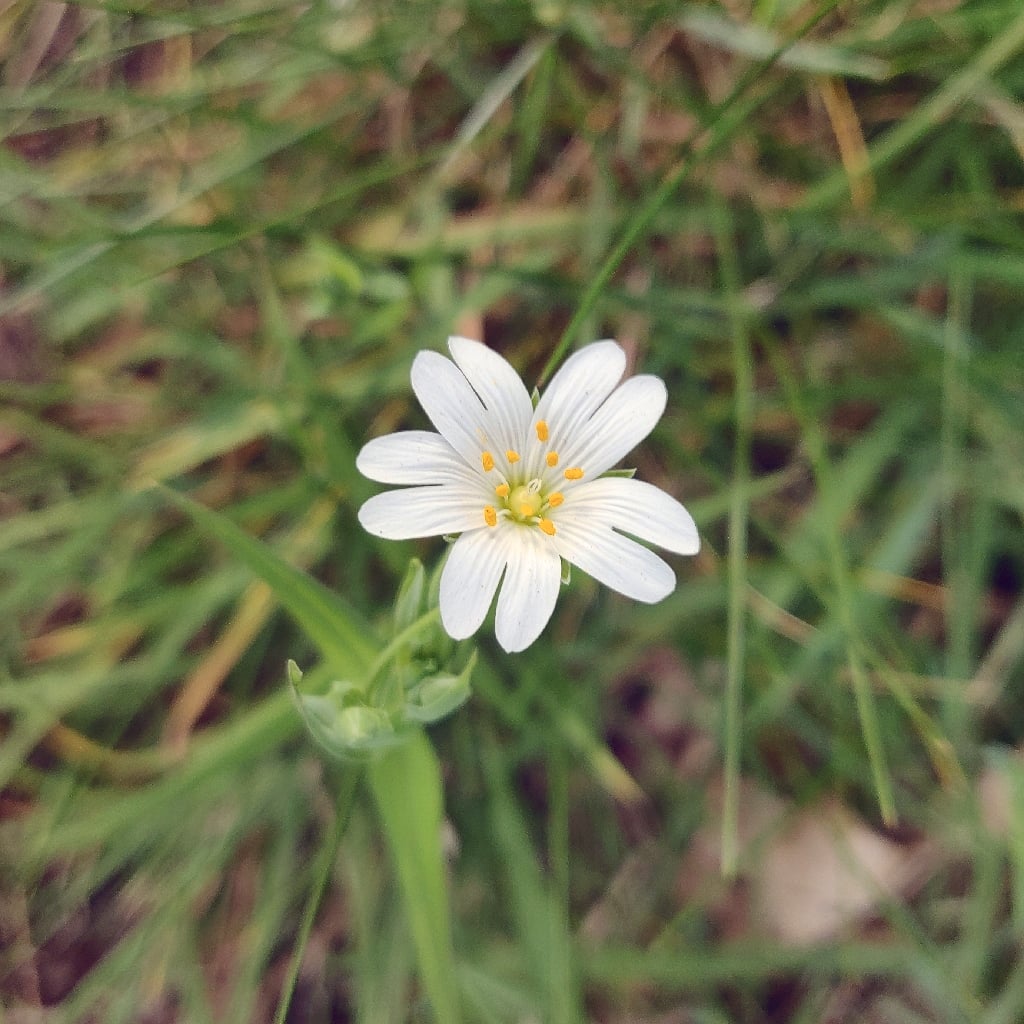 11th April 2020
