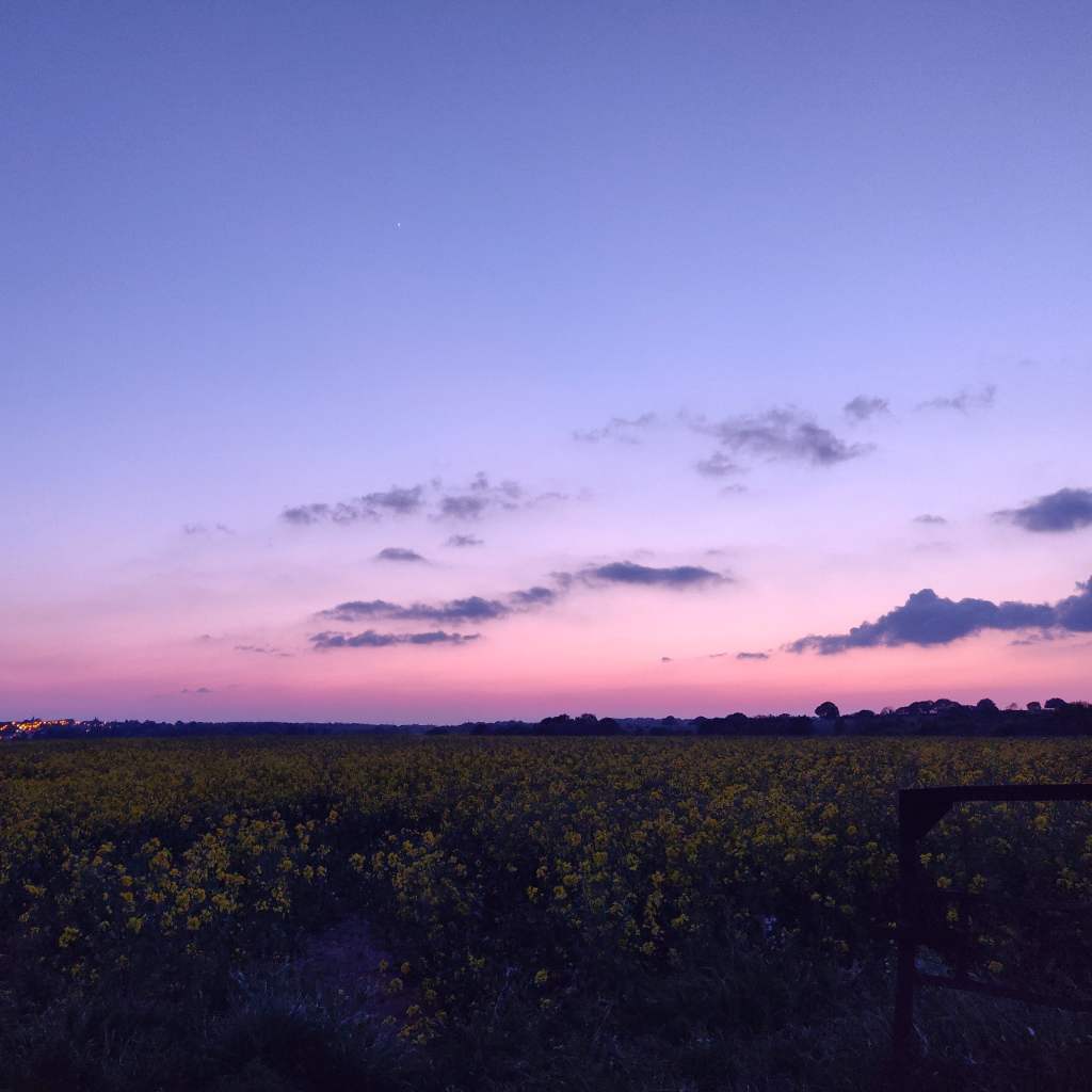 4th May 2020