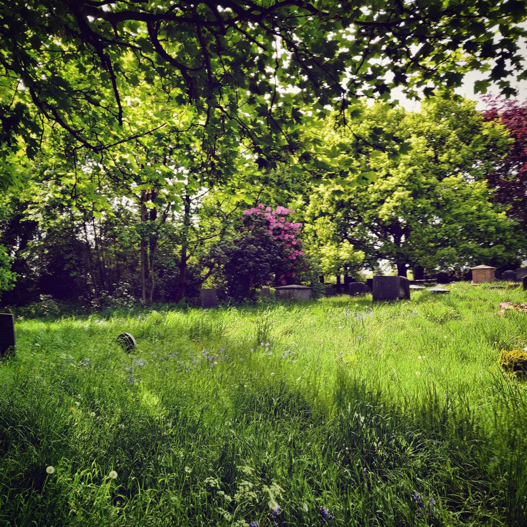 11th May 2020