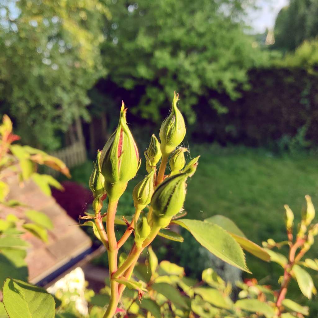 13th May 2020