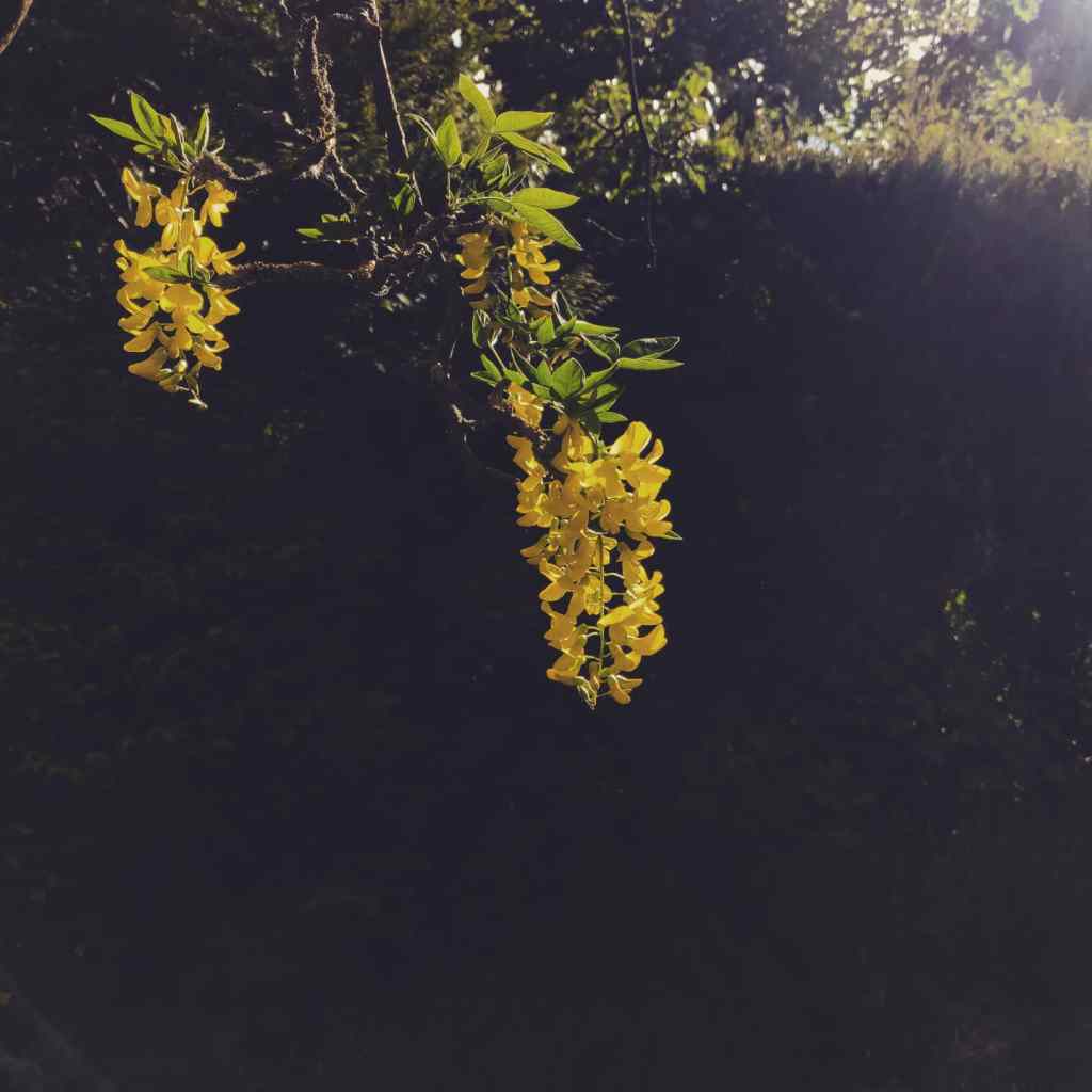 16th May 2020