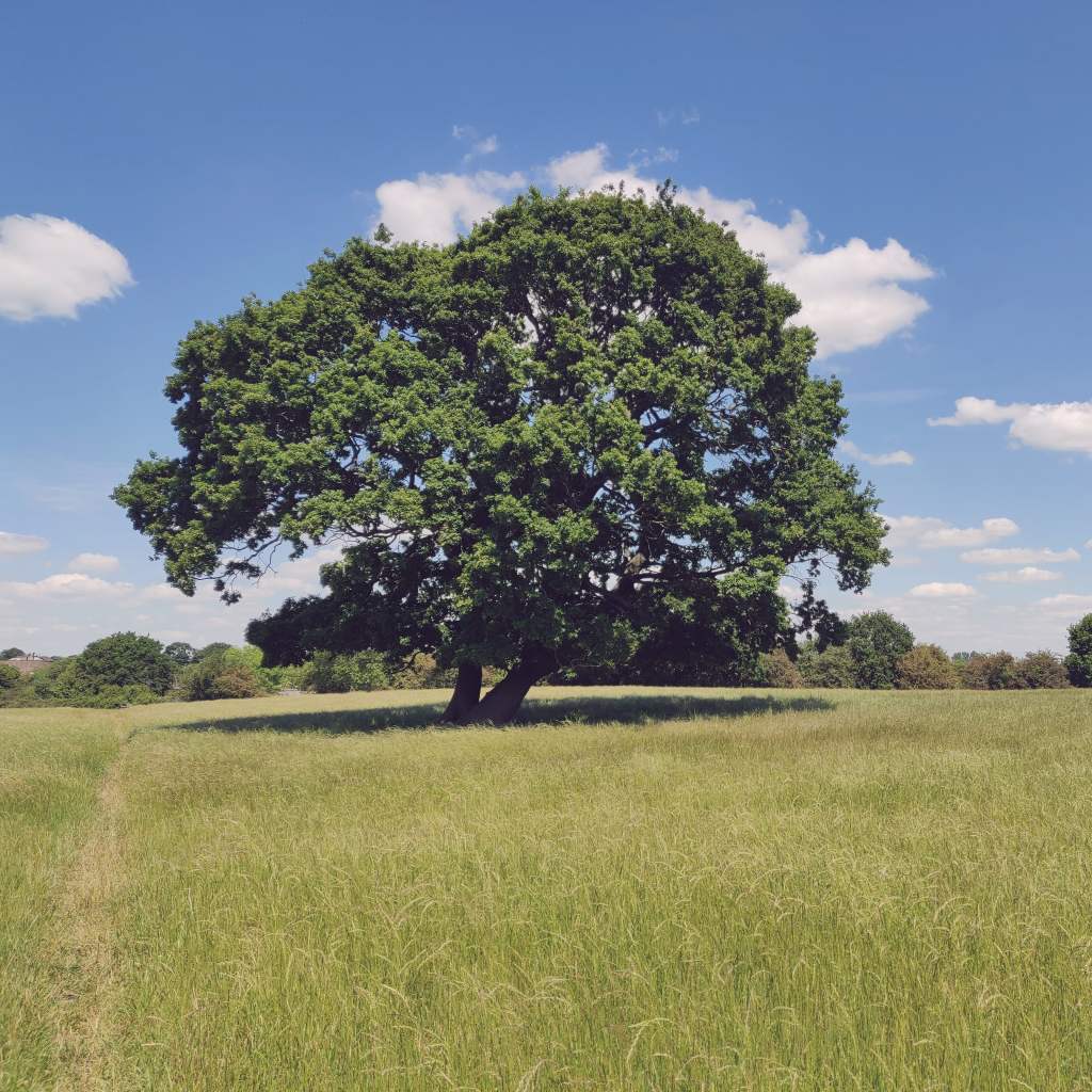 3rd June 2020