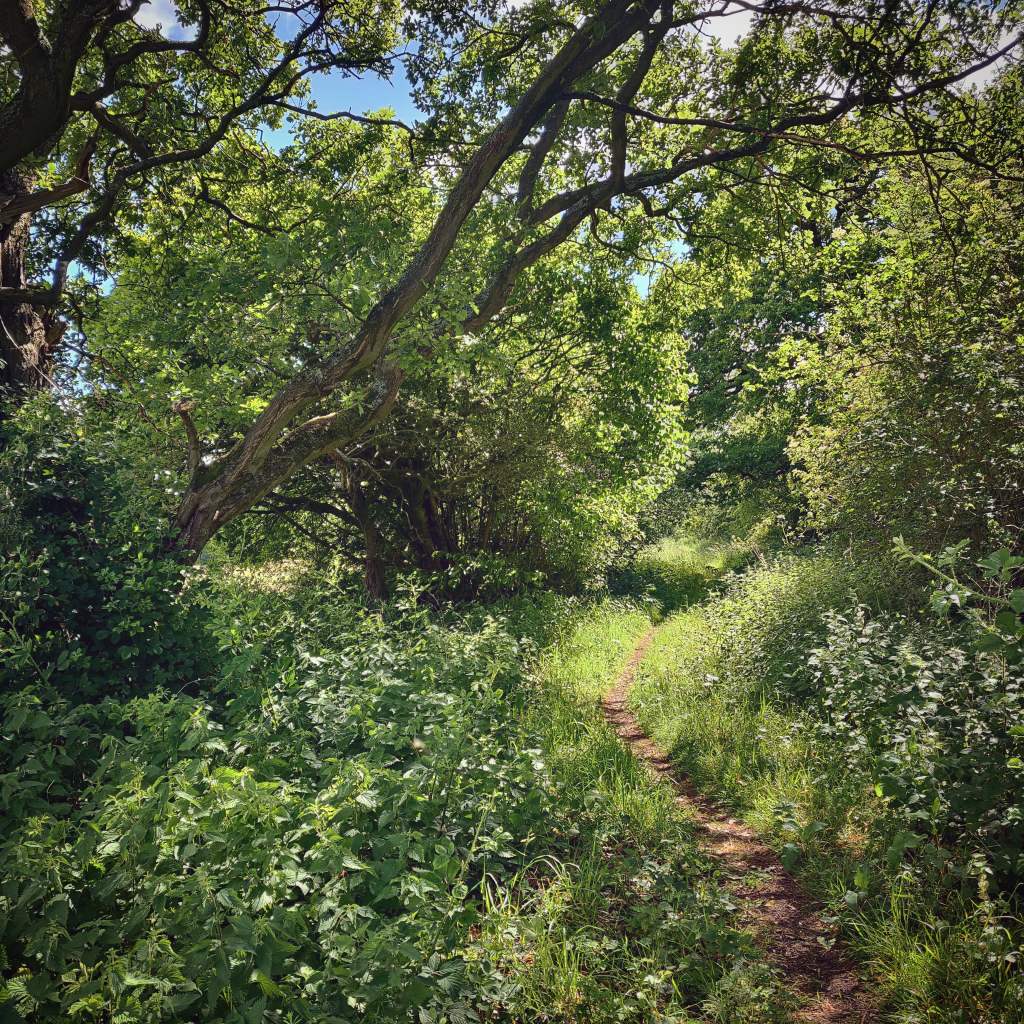 5th June 2020