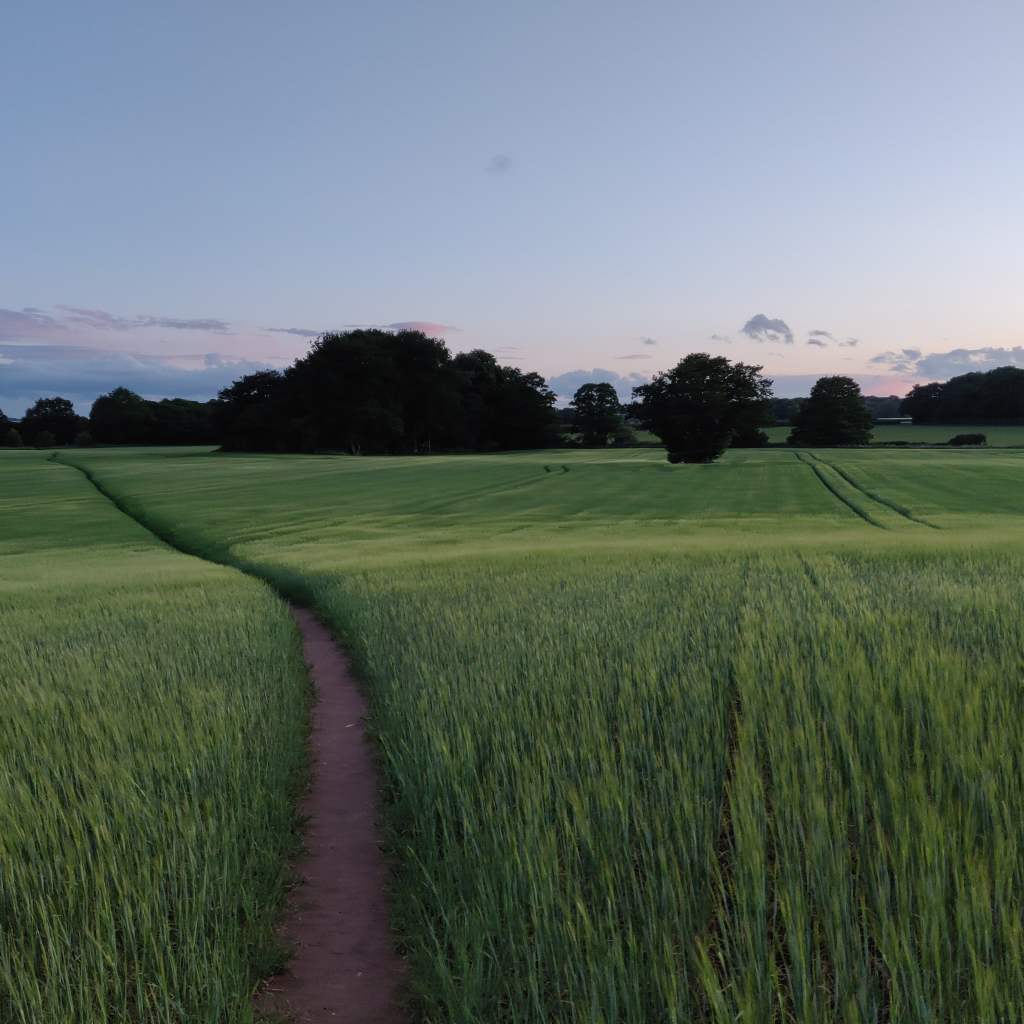7th June 2020