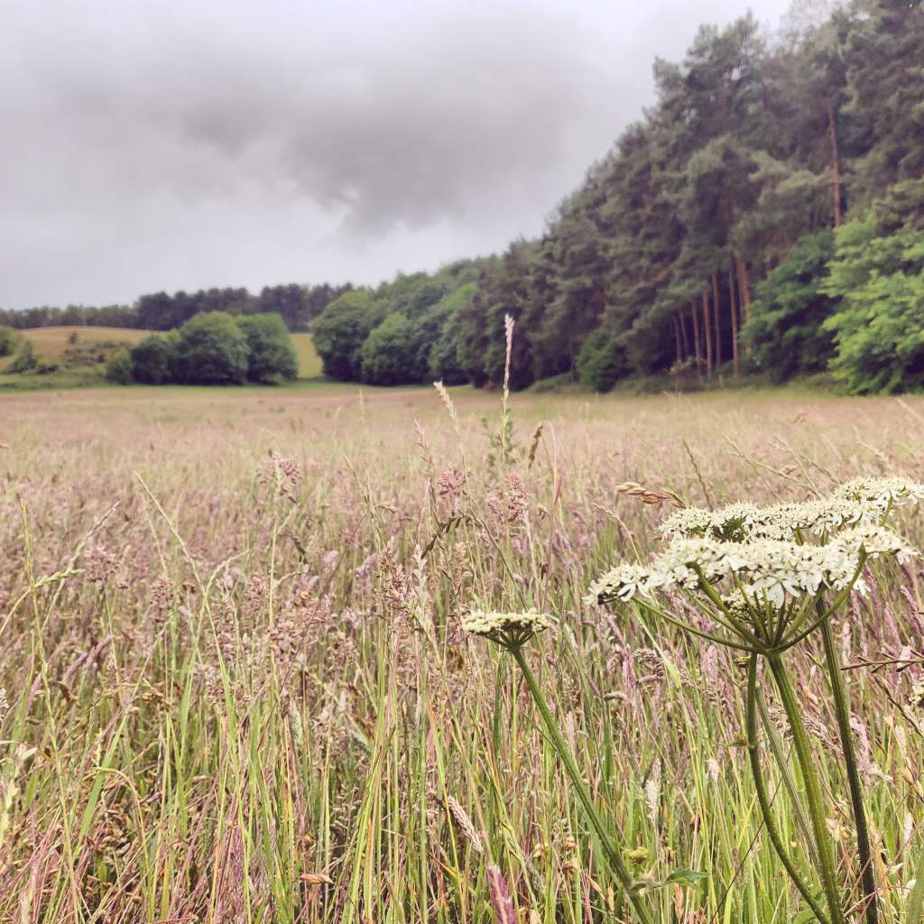 11th June 2020