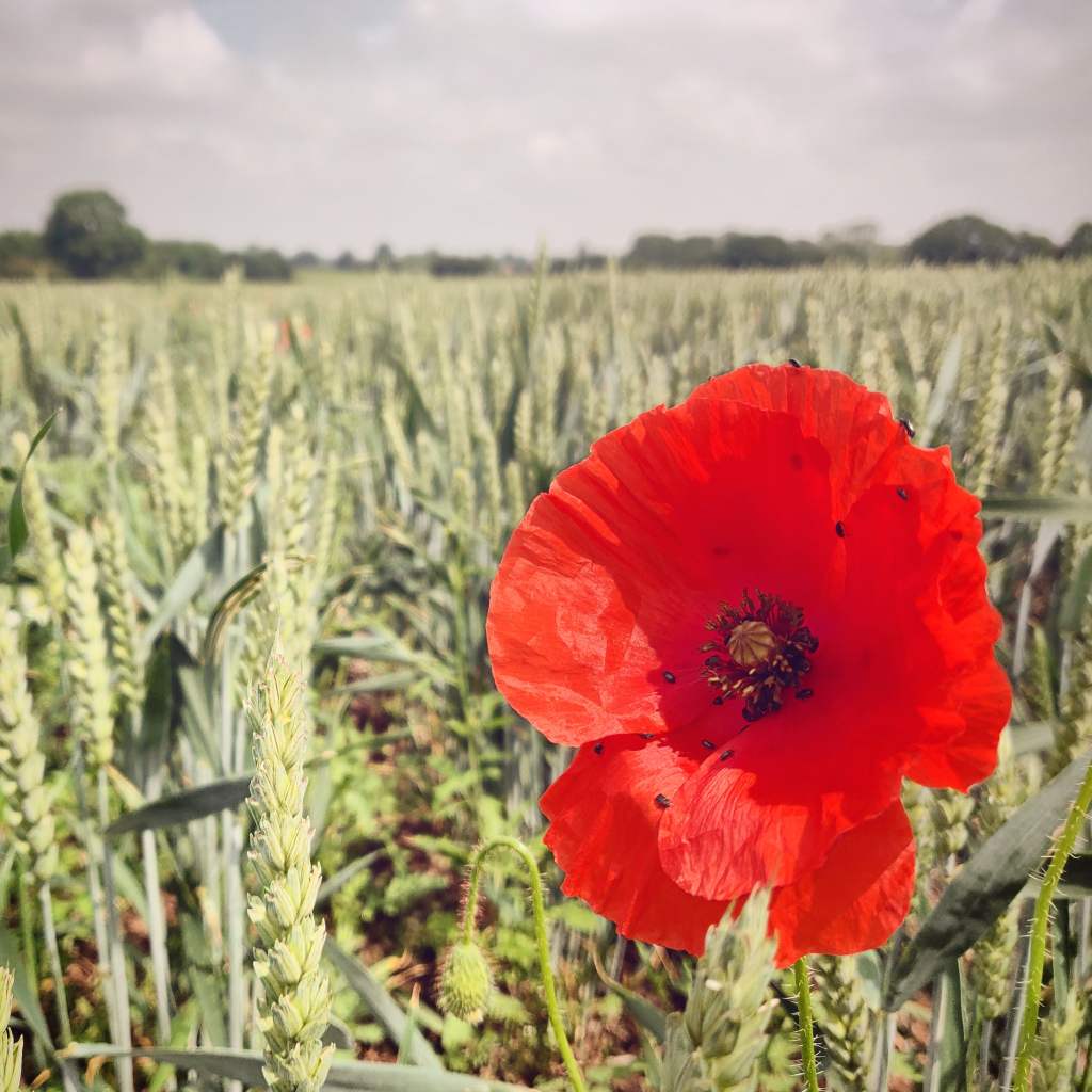 20th June 2020