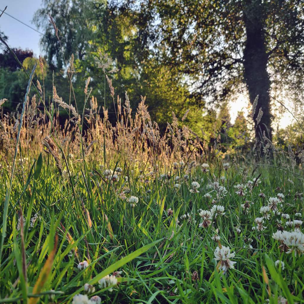 25th June 2020