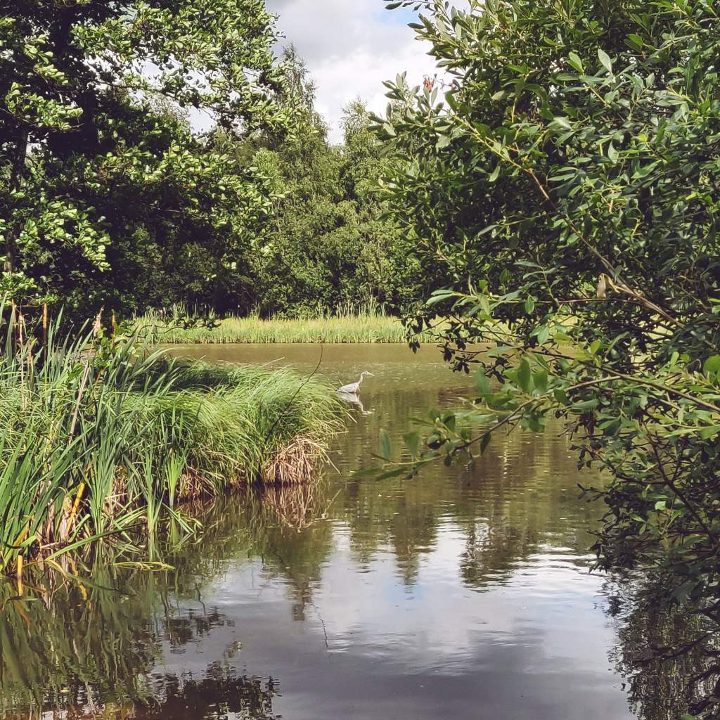 29th June 2020