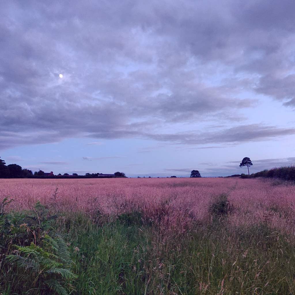 1st July 2020