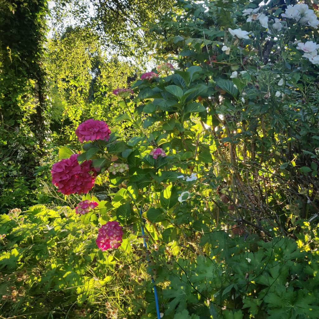 11th July 2020