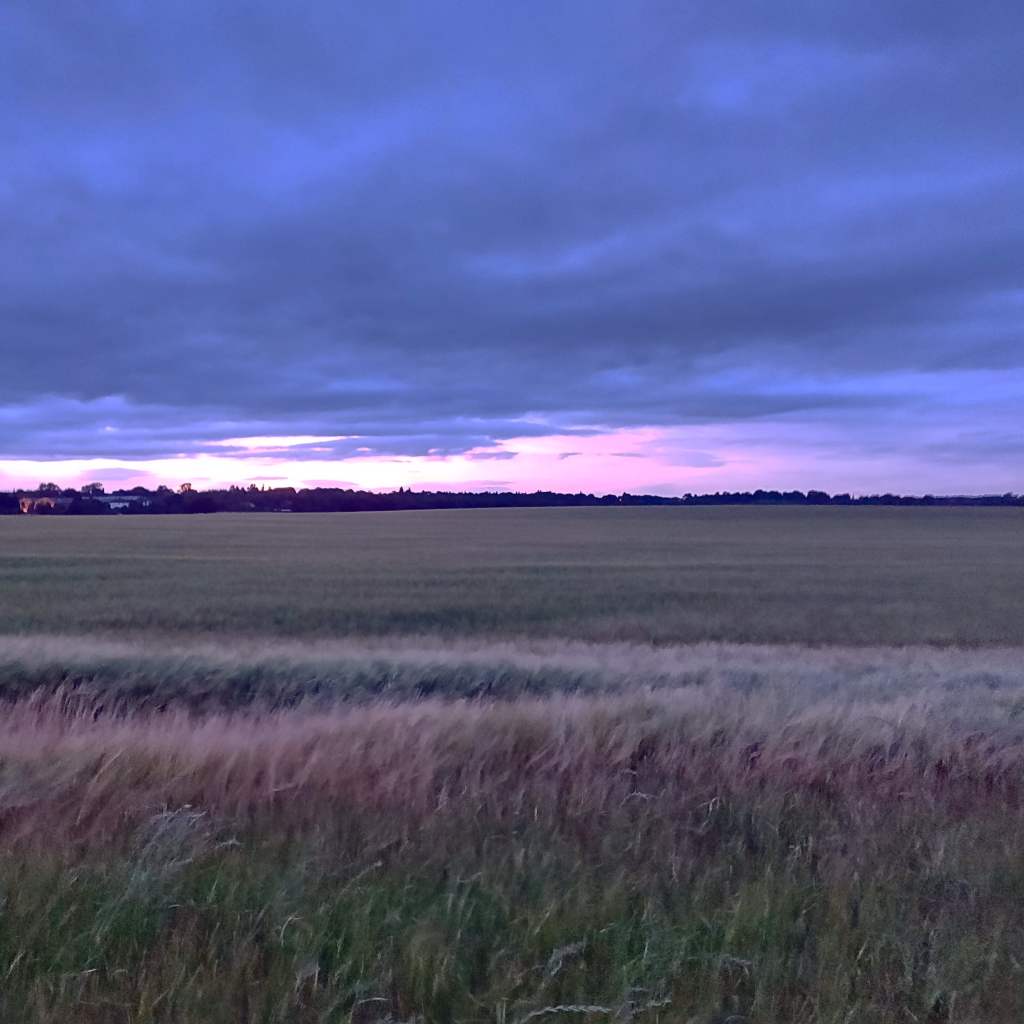 17th July 2020