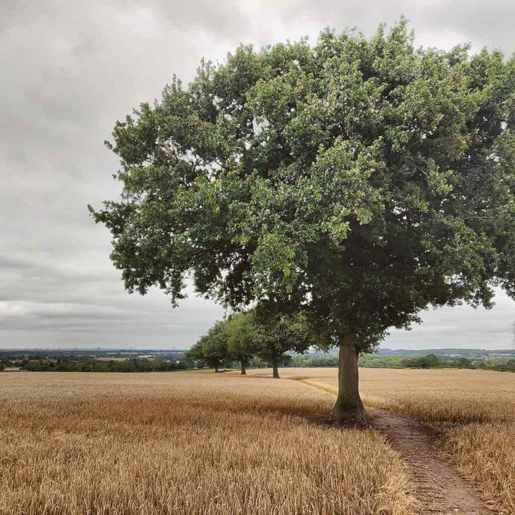 18th July 2020