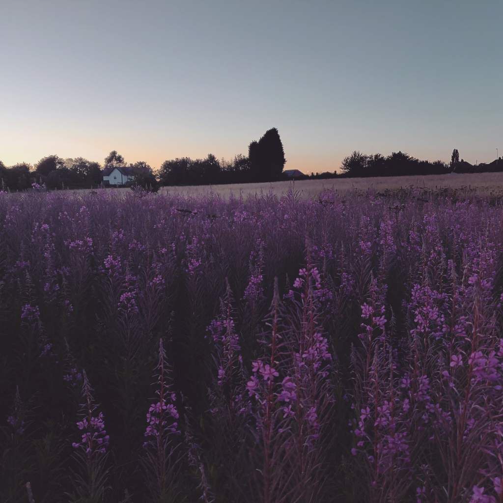 26th July 2020
