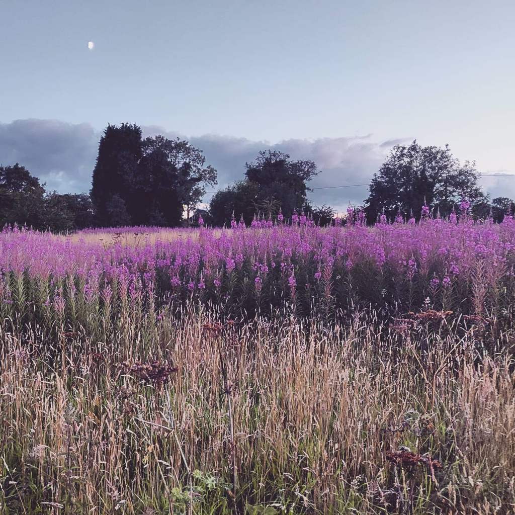 28th July 2020