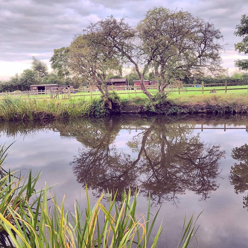 1st September 2020