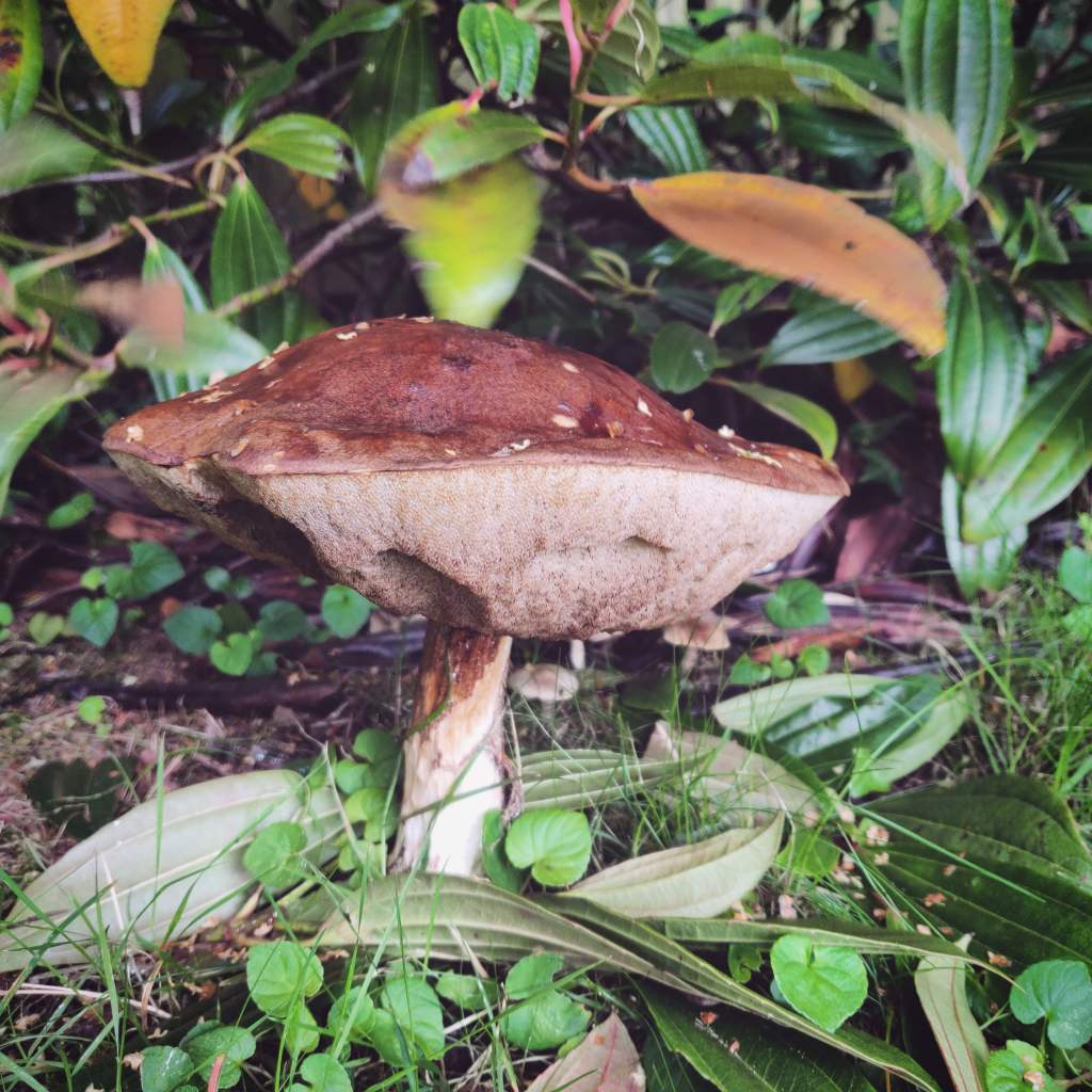 8th September 2020