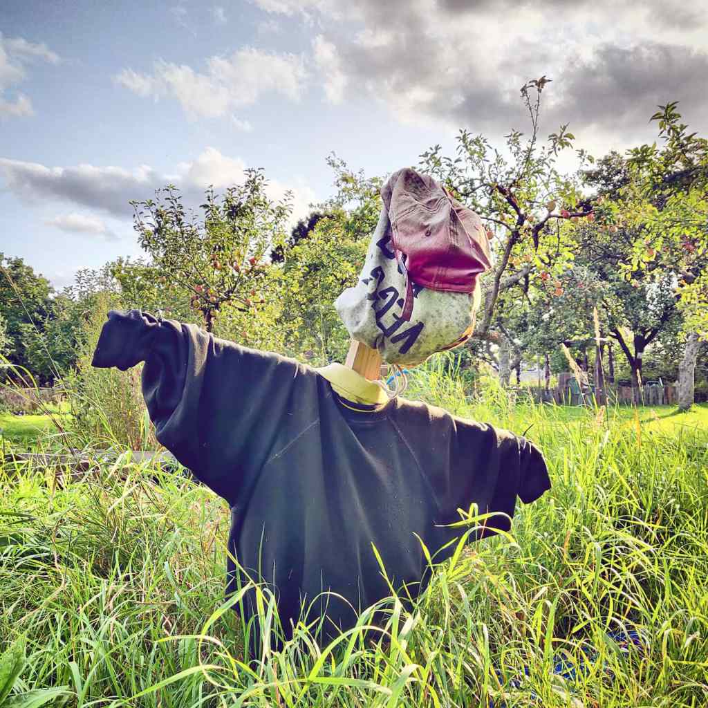 13th September 2020