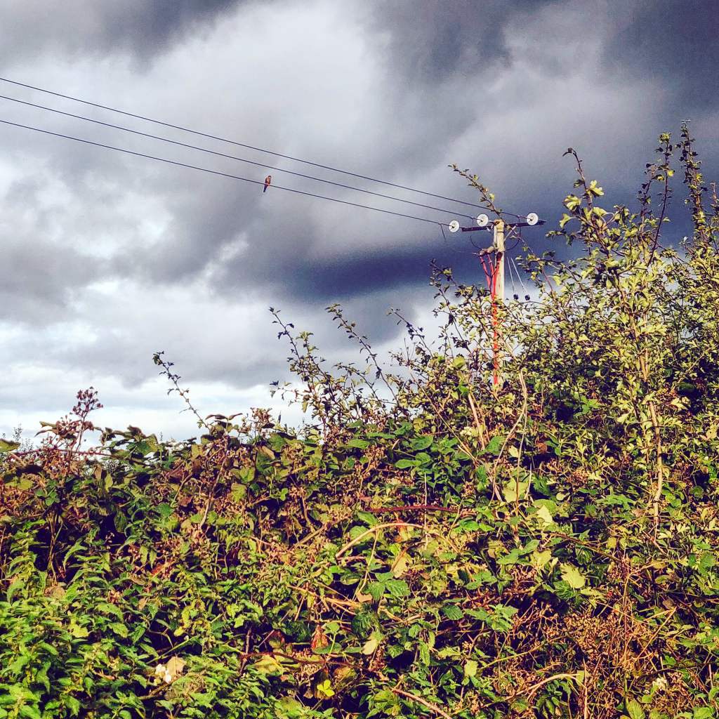 17th September 2020