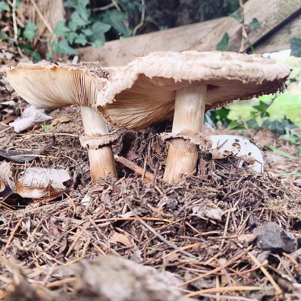 18th September 2020