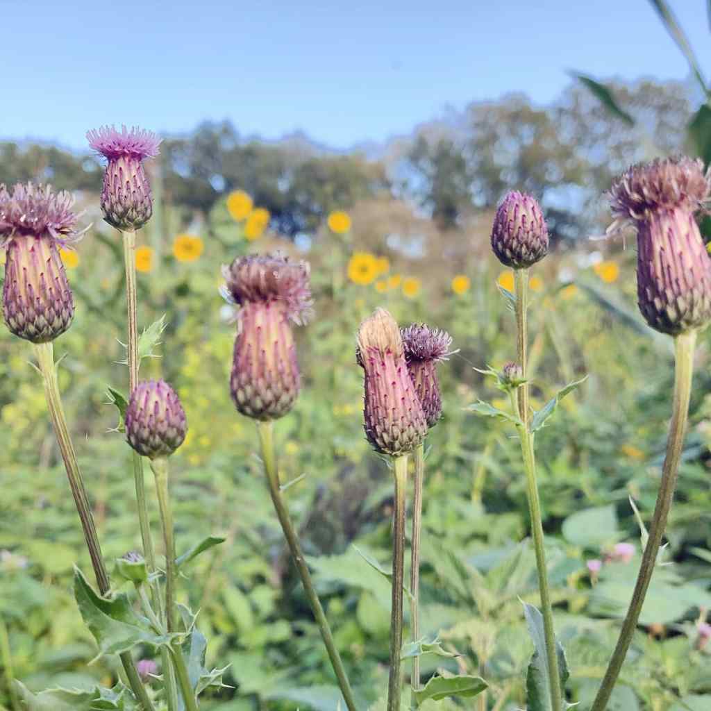 25th September 2020
