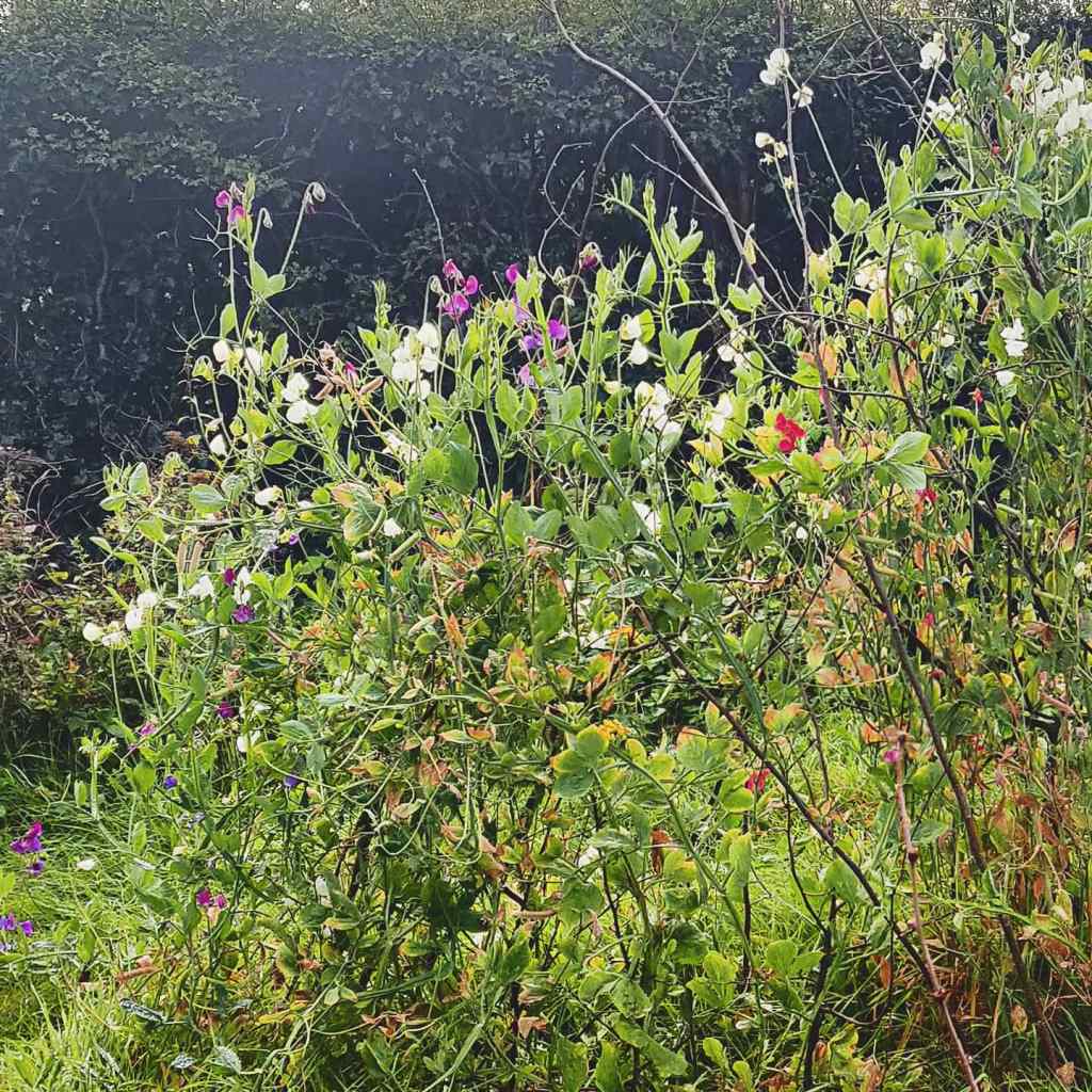 29th September 2020