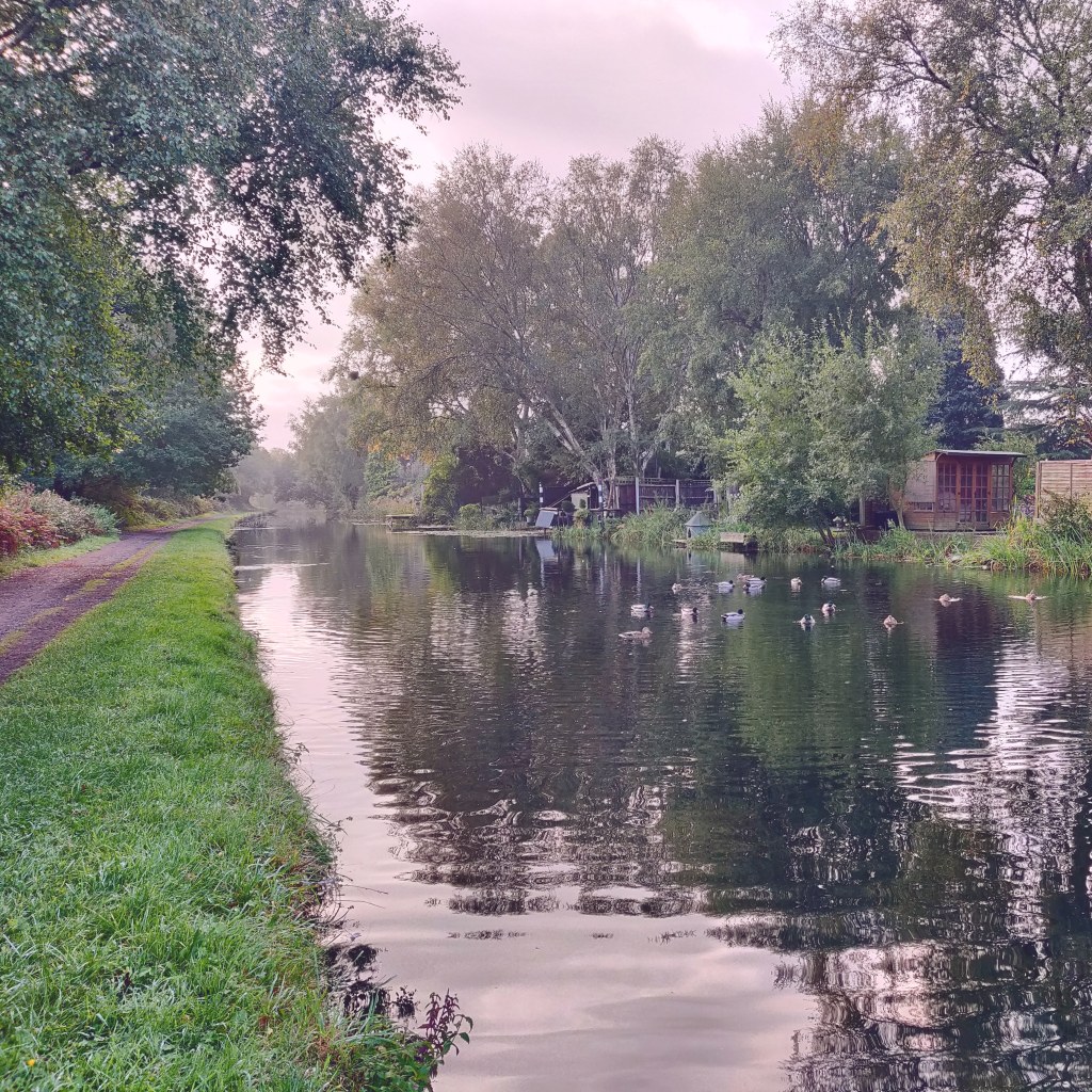3rd October 2020