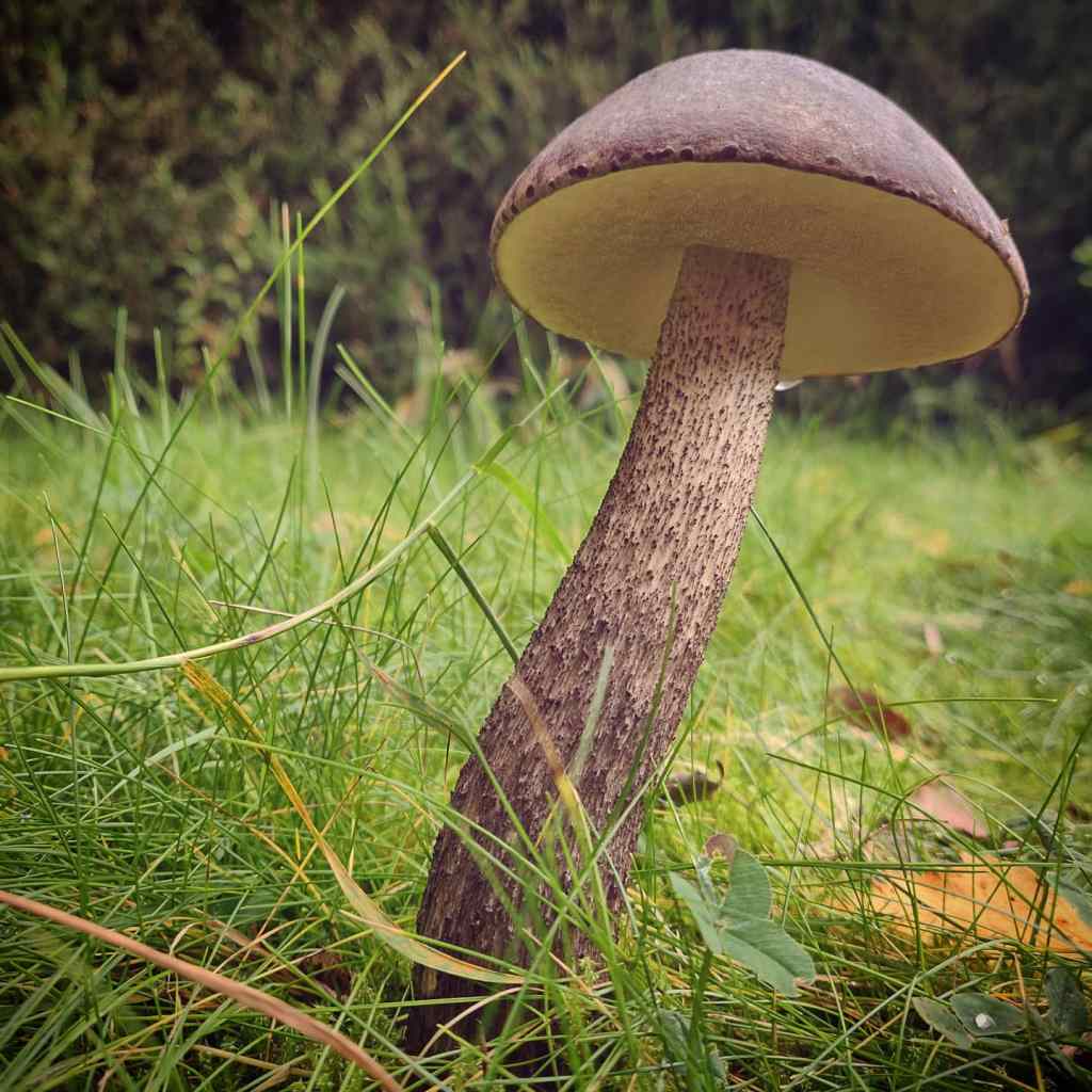 8th October 2020