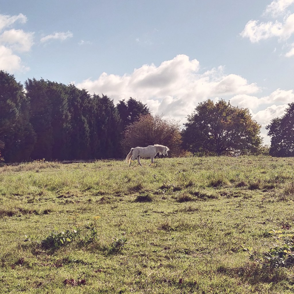 13th October 2020