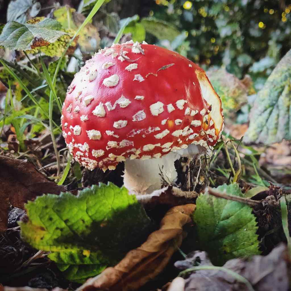 16th October 2020