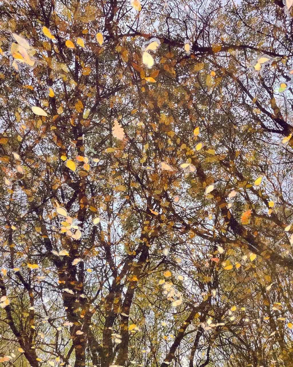 23rd October 2020