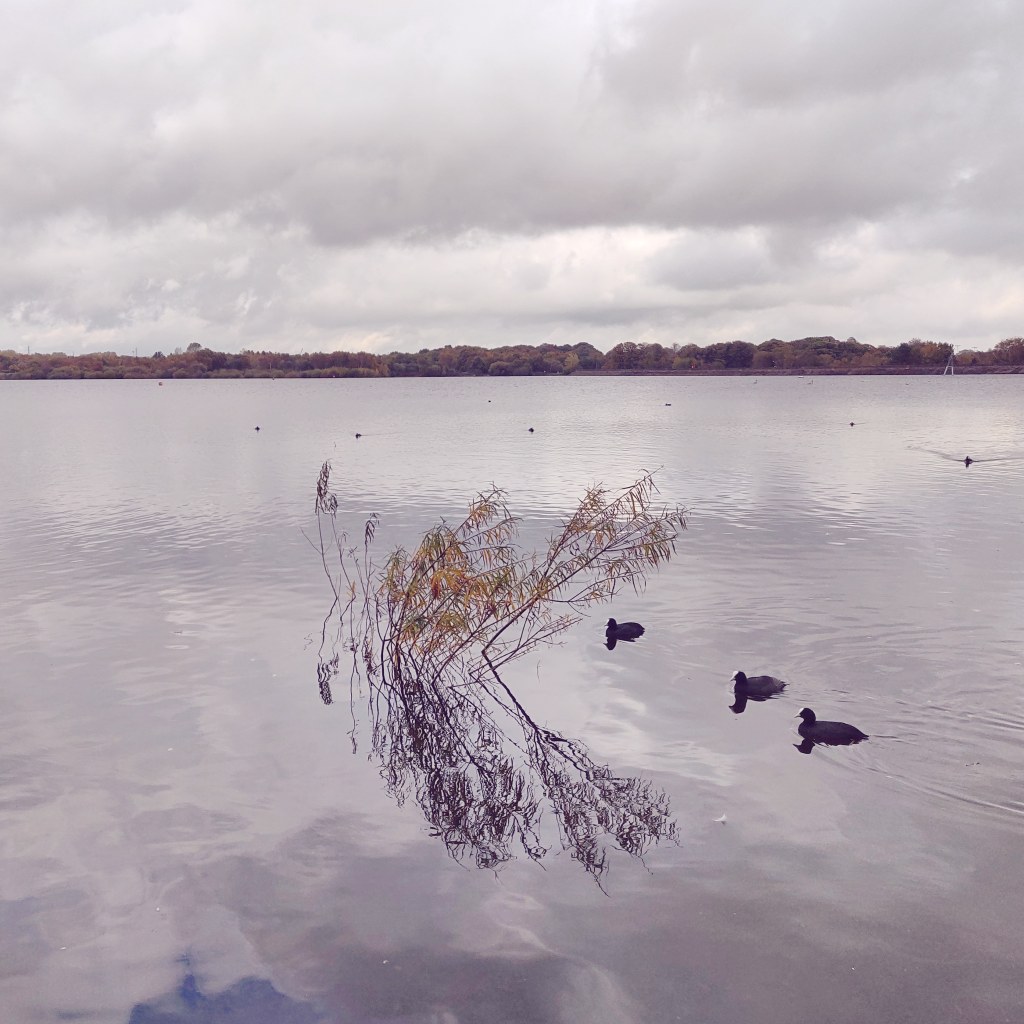 26th October 2020